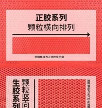 乒乓球胶粒的技巧与使用方法（揭秘乒乓球胶粒的奥秘，助你提升球技水平）