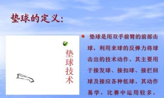 掌握排球后排垫球的技巧与要领（提升垫球稳定性与准确性的关键技术）