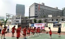 全面提升篮球防守能力——以U8篮球全场防守训练为例（打造坚固篮球防线，让U8球员成为防守之王）