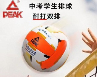提升中考排球技巧，训练要领全解析（以排球中考训练要领教案为主题，助你冲刺高分）