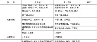 足球8人制比赛技巧大揭秘（精彩绝伦的比赛策略与实战技巧，助你成为球场王者）