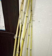 竹制最小路亚竿钓鱼的奇妙之旅（竹竿钓鱼路亚竿钓奇妙之旅）