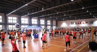 如何学会以气排球头顶撑球（掌握关键动作要领，提高头顶撑球技巧）