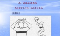 掌握排球传球技巧的关键要领（从基本动作到高效传球，关键要领一网打尽）
