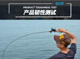 新手钓鱼路亚选择指南（选择适合新手的鱼竿，让你快速入门路亚钓鱼）