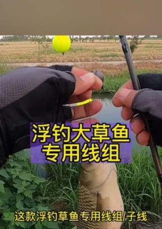 掌握路亚海竿钓鱼的关键技巧（钓鱼高手教你如何使用路亚海竿捕获大鱼）
