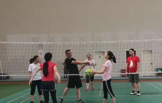 如何正确进行气排球传球动作（掌握气排球传球基本技巧，打造高效球队配合）