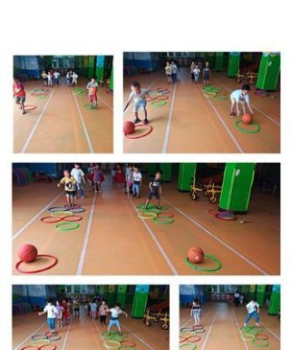 大班排球初练动作要领教案（培养幼儿排球兴趣，掌握基本动作技巧）