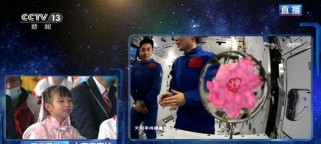 以太空乒乓球实验揭示合力奥秘（在微重力环境下解析力学之谜）
