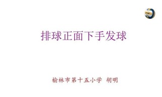 掌握排球下手发球的要领，提高技术水平（技巧详解，助你成为出色的发球手）