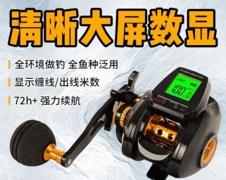 路亚在大海里钓鱼的技巧与挑战（突破海洋钓鱼的界限，路亚的新领域与未来）