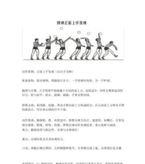 初学者如何掌握排球传球动作要领（探索排球传球的基础技巧和训练方法）