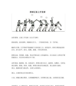 初学者如何掌握排球传球动作要领（探索排球传球的基础技巧和训练方法）