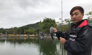 选择合适的路亚流水速度，提升钓鱼成功率（掌握流水速度对钓鱼的影响，轻松提高钓获数量）