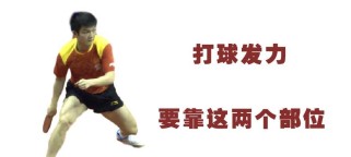乒乓球技巧（以腰为中心，提升乒乓球击球力量和速度）