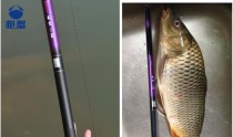 路亚竿变身手竿，娴熟技巧尽展渔获颇丰（钓鱼达人分享，以路亚竿为主的手竿钓鱼技巧大揭秘）