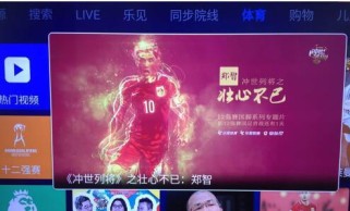 中国冲击世界杯（揭秘挑战世界足坛巅峰的中国足球征程）