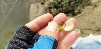 探讨以路亚抛饵钓鱼的最佳时机（钓鱼时间选择的关键因素及技巧）
