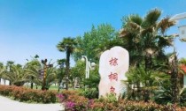 和平农庄乒乓球室（体验丰富多样的乒乓球活动，打造健康快乐生活）