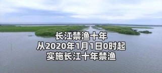 以鲁湖路亚钓鱼乐趣无穷（探索以鲁湖路亚钓鱼的绝佳体验）