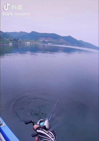 嘉定区路亚钓鱼野钓点攻略（探索嘉定区路亚钓鱼的热门钓点，尽享自然美景和丰富渔获）