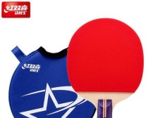乒乓球冠军的利器（乒乓球冠军如何通过选择合适的球拍提升竞技能力）