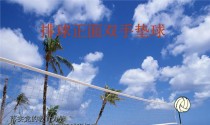 掌握排球技巧，双手左右晃，瞄准胜利（以双手左右晃为核心动作的排球技巧讲解）