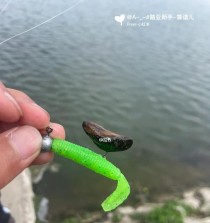 探秘路亚钓鱼（让你成为顶级路亚钓鱼手的关键装备和技巧！）