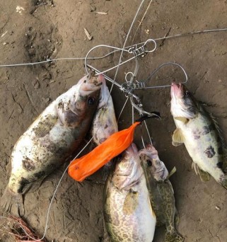 北津水库钓鱼路亚钓点详解（北津水库钓鱼路亚钓点的最佳选择及技巧分享）