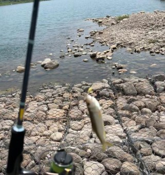 深入探究河道钓鱼中以路亚钓法的最佳钩具选择（路亚爱好者必知的钩具选择和技巧）