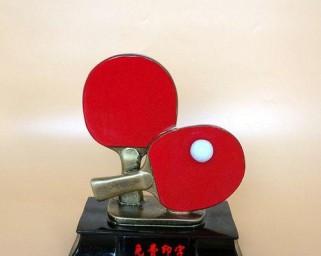 乒乓球奖杯尺寸标准的重要性与应用（揭秘乒乓球奖杯尺寸标准的背后细节）