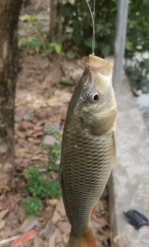 冬天早上路亚钓鱼的乐趣（探索冷季水域钓鱼的最佳时间和策略）