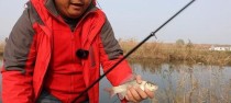 探究路亚为什么不开放钓鱼模式（分析路亚钓鱼模式未开放的原因及影响）