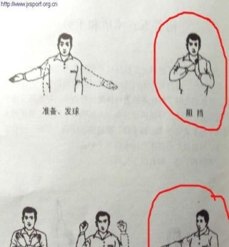 乒乓球的常识和技巧（掌握乒乓球的关键要素，提高战胜对手的能力）