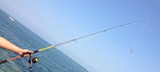 钓鱼温度与路亚（钓鱼温度与路亚之间的关系及影响因素）