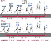 乒乓球步伐动作分解（揭秘乒乓球步伐的奥妙与技巧）