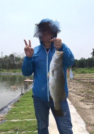 湖中路亚钓鱼技巧（探秘湖中路亚钓鱼的技巧与经验分享）