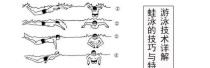 掌握蛙泳换气技巧，畅享游泳乐趣（从零开始，轻松学会蛙泳换气技巧）