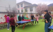 颠乒乓球100个技巧，让你成为球场之王（乒乓球技巧大全，掌握这些绝技成就巅峰）