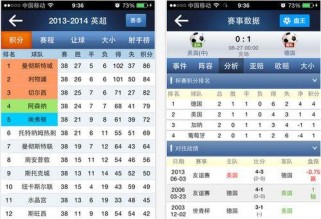足球比分预测技巧大全（掌握关键技巧，提高预测准确率）