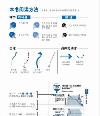 乒乓球评价方法与技巧书的重要性（提高乒乓球水平，选择适合的评价方法和技巧书）