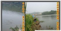 探索路亚钓鱼中深浅交界处的技巧与窍门（钓鱼达人教你如何找到理想的深浅交界处）
