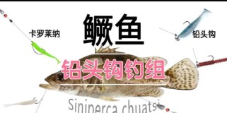 路亚钓鱼是否需要挂鱼食？（探讨钓鱼技术中的关键环节）