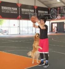 解决打篮球防守下半身疼痛的方法（探索运动技巧和保护措施，预防下半身疼痛）