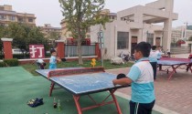 提高颠球乒乓球技巧的训练方法（掌握关键动作，提高颠球稳定性与控制能力）