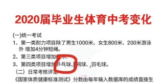 乒乓球考级的必要性与益处（提升技艺水平，拓展竞技范围，考级的重要性）