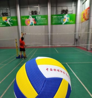 国标排球发球的技巧与要领（掌握国标排球发球，提高比赛竞争力）
