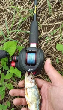 探讨路亚钓鱼中线的绷直要求（线的选择与使用技巧，提升路亚钓鱼的效果）