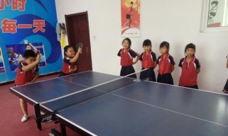乒乓球多球训练的神奇效果（发挥速度、反应和控制的综合优势，提高乒乓球水平）