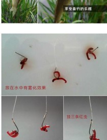 路亚竿技巧（掌握正确的技巧，提升钓鱼效果）